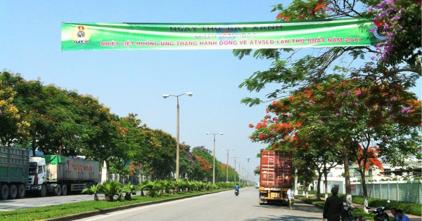 Chương trình "Ngày thứ 7 xanh"  tại Công ty Đầu tư phát triển Hạ tầng Viglacera